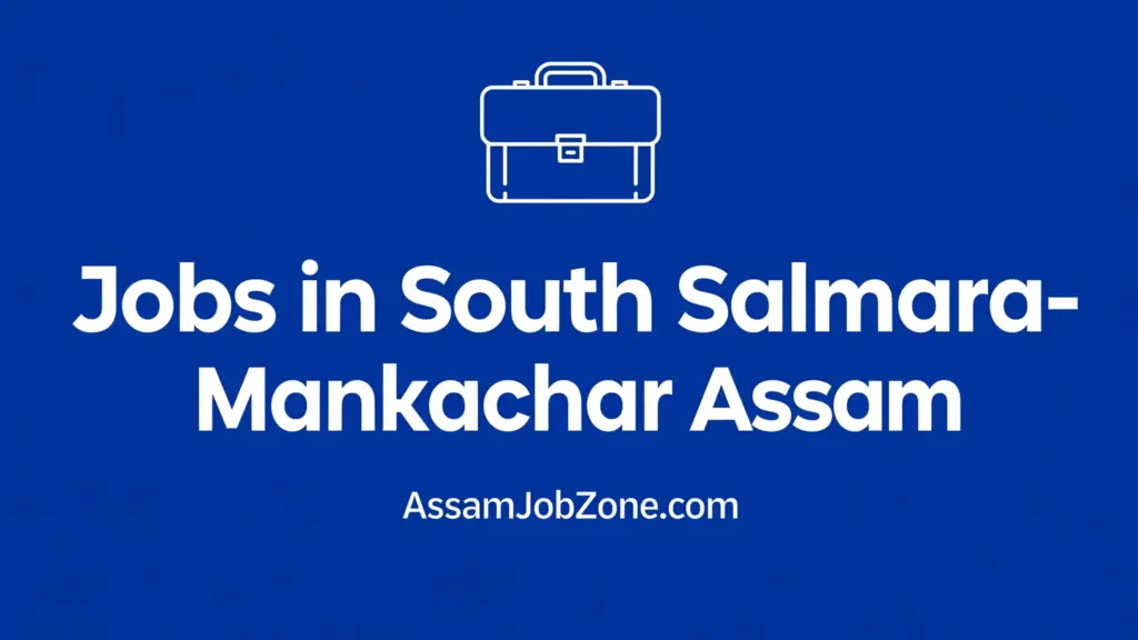 Jobs in South Salmara-Mankachar